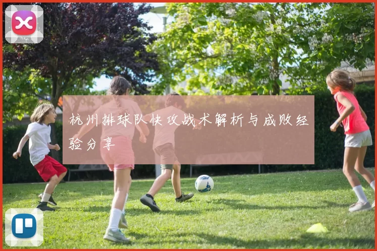 杭州排球队快攻战术解析与成败经验分享