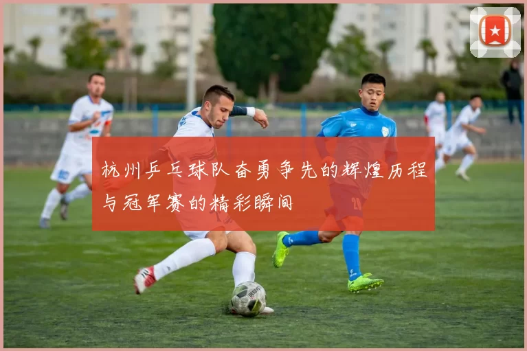 杭州乒乓球队奋勇争先的辉煌历程与冠军赛的精彩瞬间
