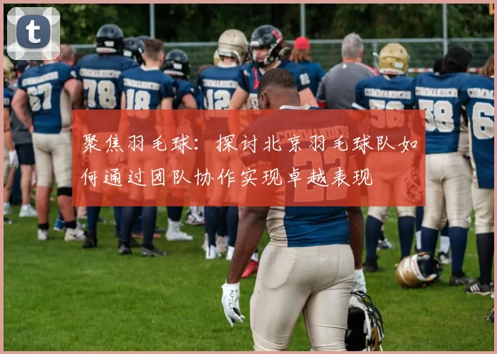 聚焦羽毛球：探讨北京羽毛球队如何通过团队协作实现卓越表现