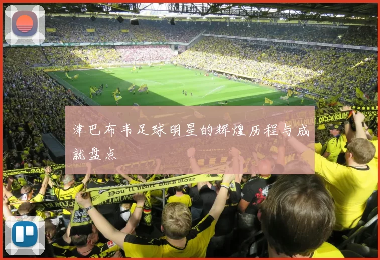 津巴布韦足球明星的辉煌历程与成就盘点